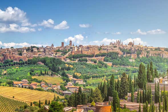 Excursión a Asís + Degustación de vino