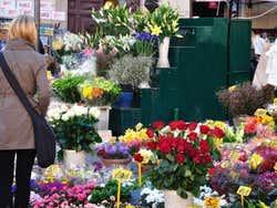 Puesto de Flores en el Campo dei Fiori de Roma